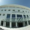 Αποτελεσματα μετεγγραφων 2024